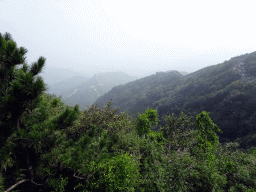 The Fifth and Third Tower of the North Side of the Badaling Great Wall, viewed from a path near the Eighth Tower