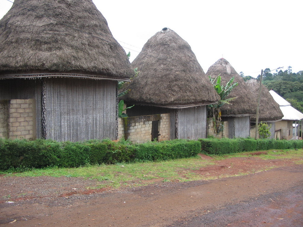 Houses at the Chieftain