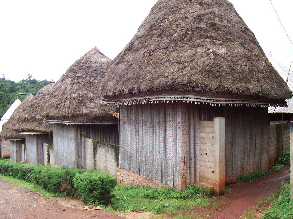 Houses at the Chieftain