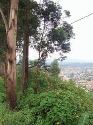 Trees and the south side of the city, viewed from the road from Bafoussam