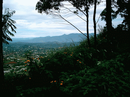 Trees and the south side of the city, viewed from the road from Bafoussam