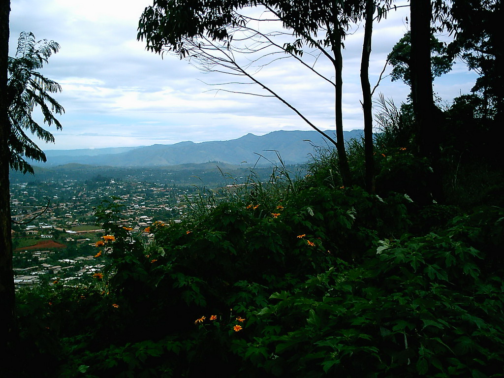 Trees and the south side of the city, viewed from the road from Bafoussam