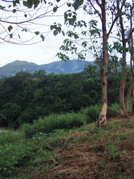 Trees and mountains next to the road from the Menchum Waterfall