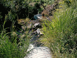 Small stream along the road to Douala