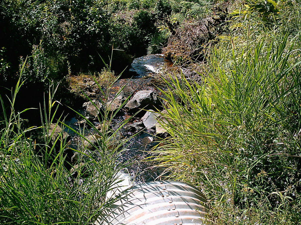 Small stream along the road to Douala