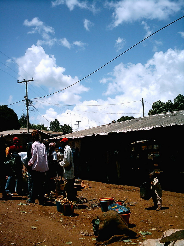 Open market along the road to Douala