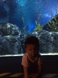 Max at the Tropical Ocean zone of the Sea Life Bangkok Ocean World