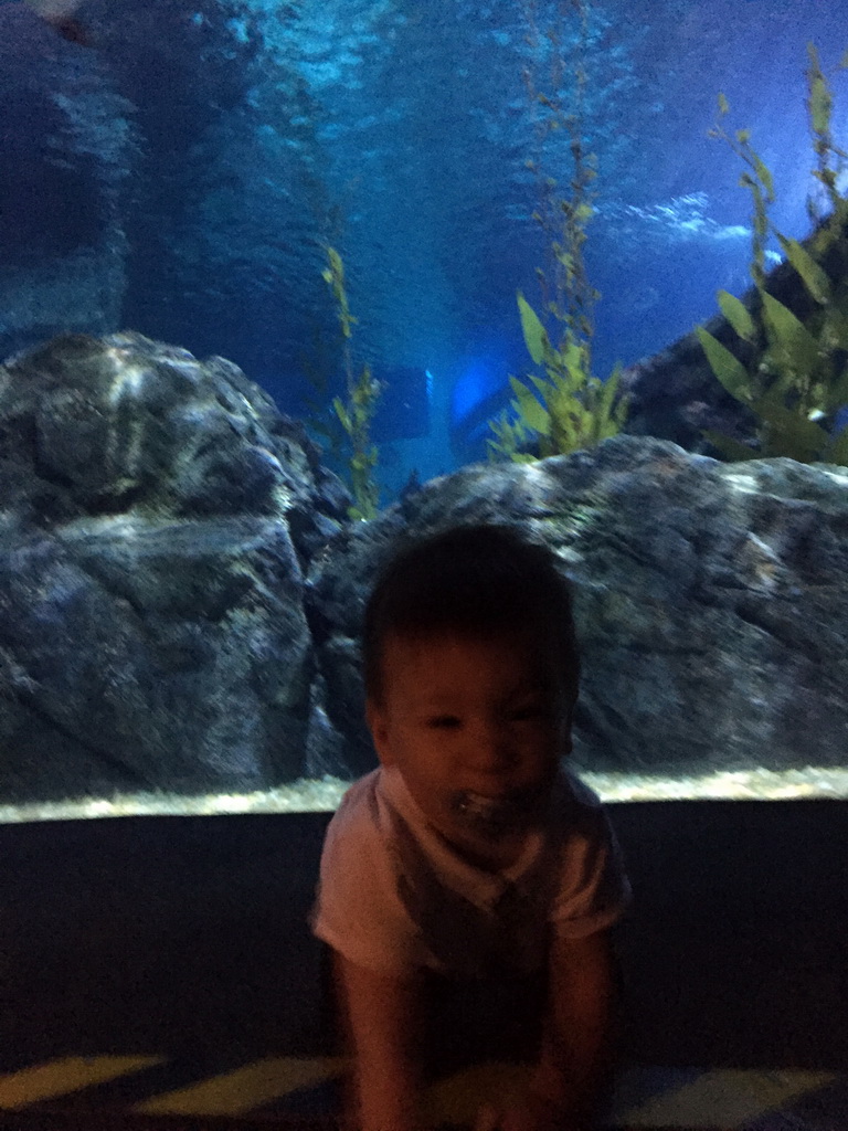 Max at the Tropical Ocean zone of the Sea Life Bangkok Ocean World