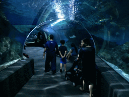 Miaomiao and Max at the Ocean Tunnel zone of the Sea Life Bangkok Ocean World