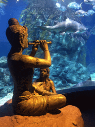 Statue, shark and other fish at the Ocean Tunnel zone of the Sea Life Bangkok Ocean World