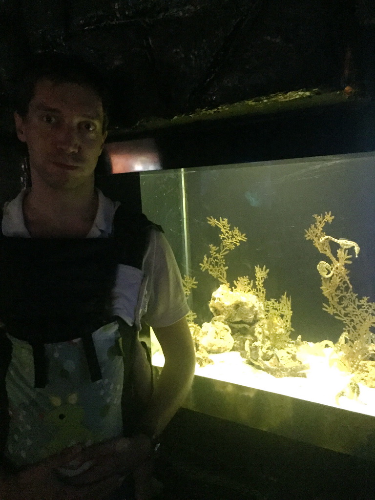 Tim and Max with Big-belly Seahorses at the Seahorse Kingdom zone of the Sea Life Bangkok Ocean World