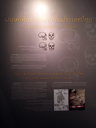 Information on the earliest human in Thailand, at the Issara Winitchai Hall Temporary Exhibition Gallery at the Bangkok National Museum