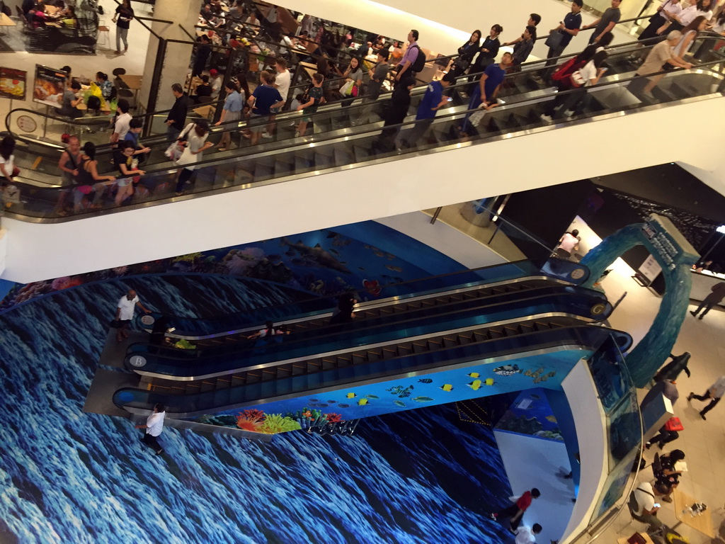 Escalators at the Siam Paragon shopping mall