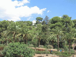 Trees and building at Park Güell