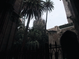 Trees in the garden of the cloister of the Cathedral of Santa Eulalia, with a view on of the towers