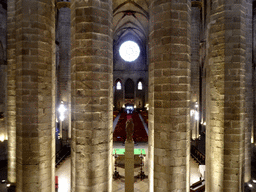 Nave and rose window of the Basilica de Santa Maria del Mar church, viewed from the upper floor