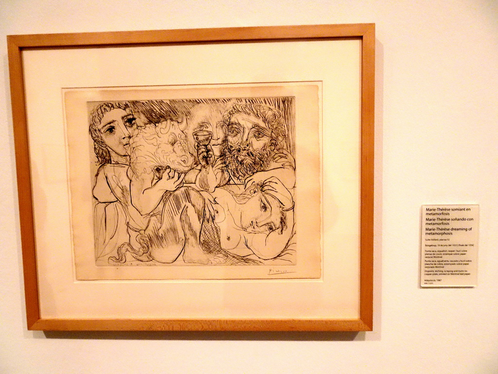 Drawing `Marie-Thérèse Dreaming of Metamorphosis` by Pablo Picasso, at the Picasso Museum, with explanation