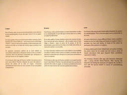 Information on the theme of Love in Pablo Picasso`s paintings, at the Picasso Museum