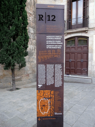 Information on the Aqueduct and Gate of the Roman Wall at the Plaça Nova square