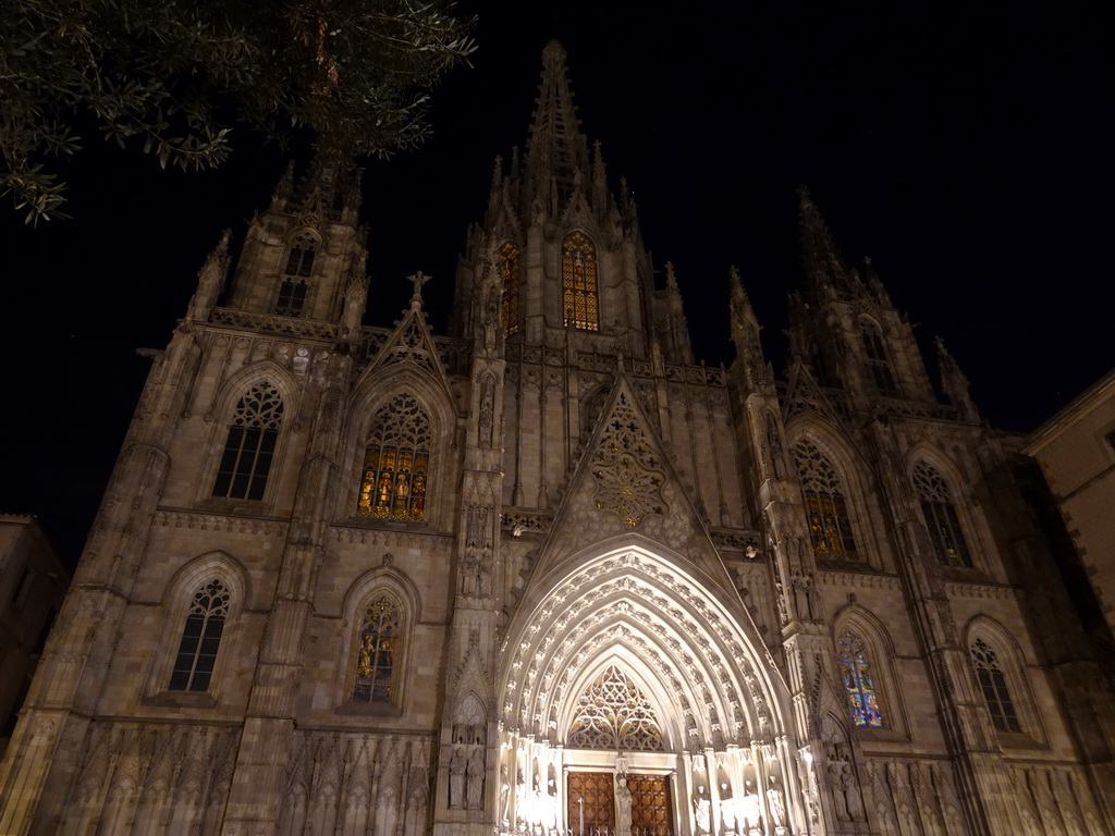 Facade of the Barcelona Cathedral at the Placita de la Seu square, by night