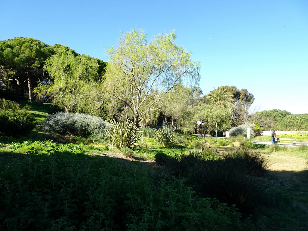 The Jardins de Joan Brossa gardens at the northeast side of the Montjuïc hill