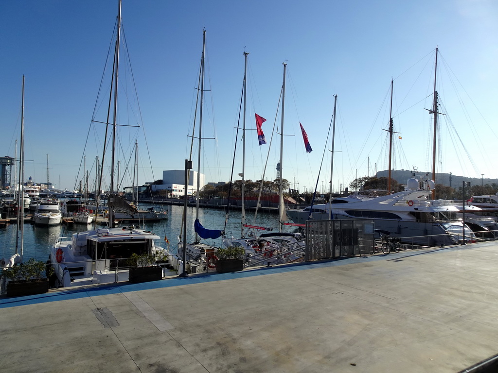 North side of the Port Vell harbour, viewed from the Moll del Dipòsit street