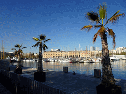 West side of the Port Vell harbour and the front of the History Museum of Catalonia, viewed from the Moll d`Espanya street