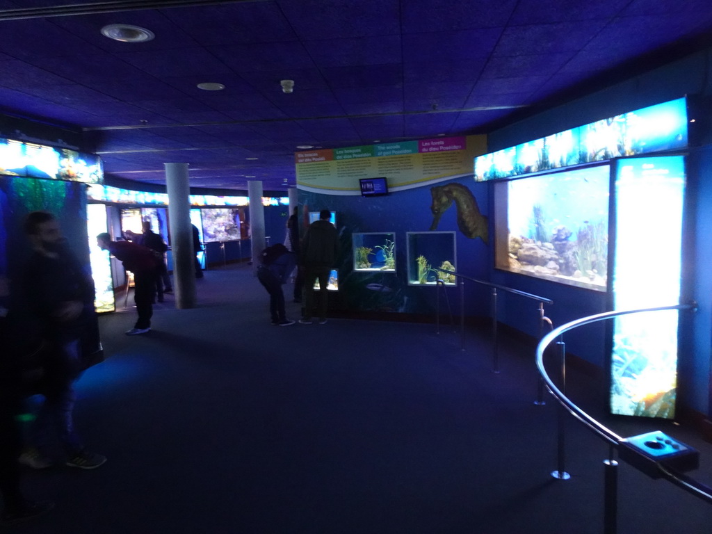 Interior of the Aquarium Barcelona