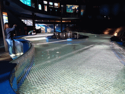 Central aquarium at the Planeta Aqua area at the Aquarium Barcelona