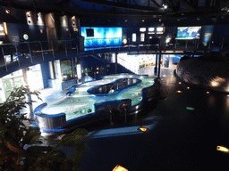 Interior of the Planeta Aqua area at the Aquarium Barcelona, viewed from the upper floor