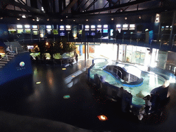 Interior of the Planeta Aqua area at the Aquarium Barcelona, viewed from the upper floor