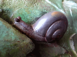 Snail statuette at the door of the Nativity Facade at the northeast side of the Sagrada Família church