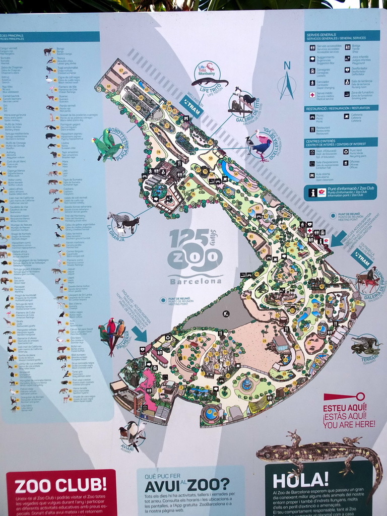 Map of the Barcelona Zoo