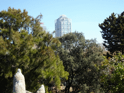 Skyscrapers in the city center, viewed from the top of the hill at the Barcelona Zoo