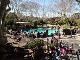 The Green Jay enclosure at the Barcelona Zoo, viewed from the staircase to the Terrarium