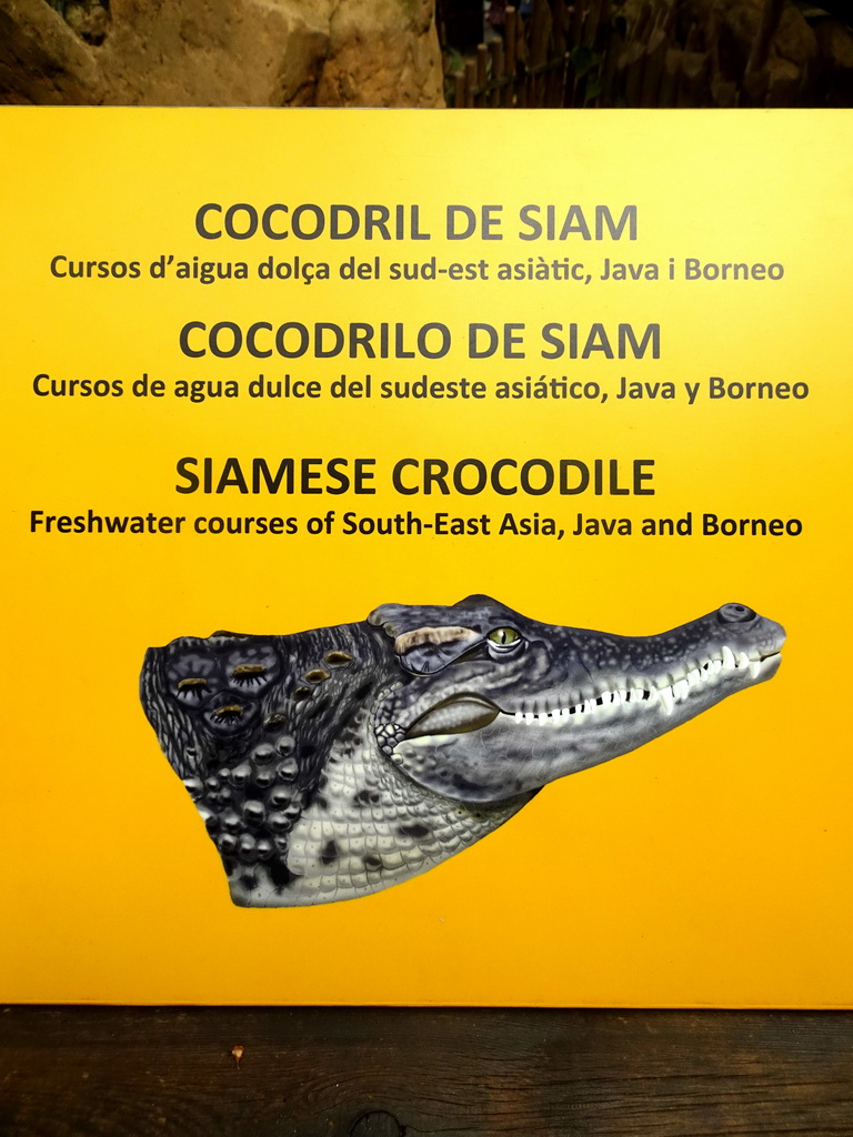 Exlanation on the Siamese Crocodile at the Terrarium at the Barcelona Zoo