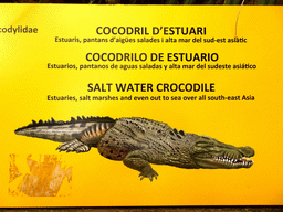 Explanation on the Salt Water Crocodile at the Terrarium at the Barcelona Zoo