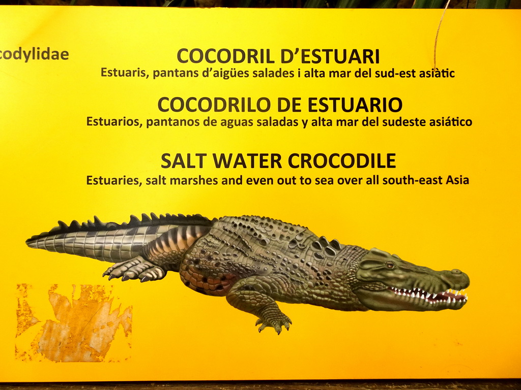 Explanation on the Salt Water Crocodile at the Terrarium at the Barcelona Zoo
