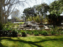 Dalmatian Pelicans and Heron at the Barcelona Zoo