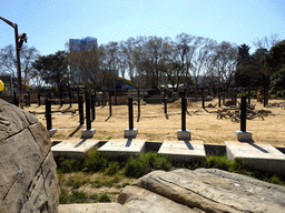 African Elephants at the Savannah area at the Barcelona Zoo