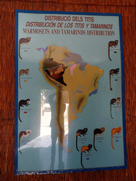 Information on the Marmosets and Tamarins distribution at the World of Marmosets building at the Barcelona Zoo