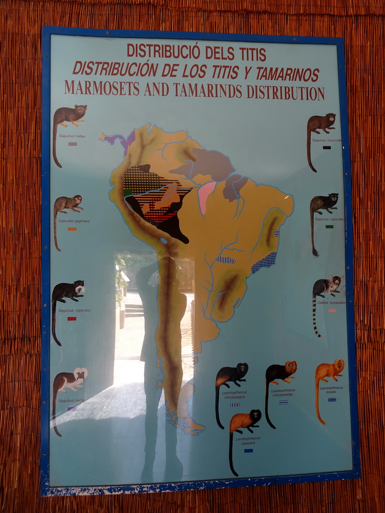 Information on the Marmosets and Tamarins distribution at the World of Marmosets building at the Barcelona Zoo