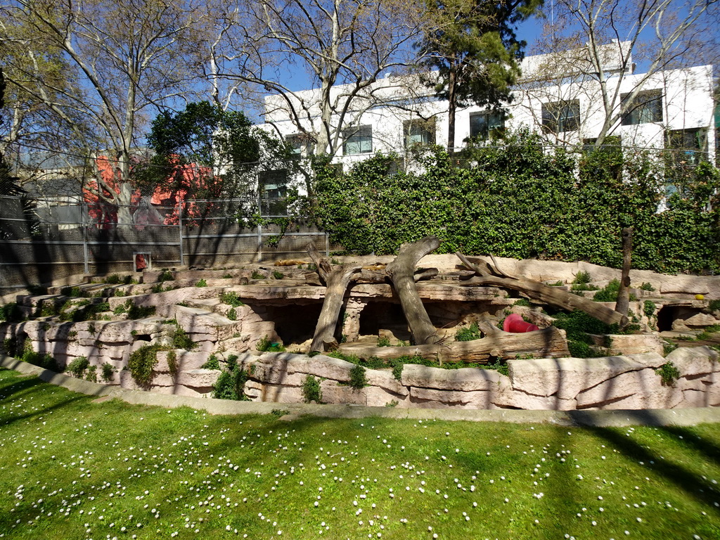 Lions at the Barcelona Zoo