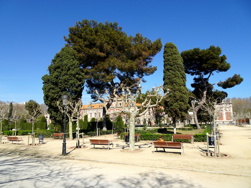 Trees at the Parc de la Ciutadella park and the front of the Palau del Parlament de Catalunya building