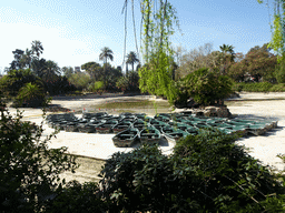 Pond at the center of the Parc de la Ciutadella park