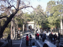 Central path and the One Imperial Gate at the Imperial Garden of the Forbidden City