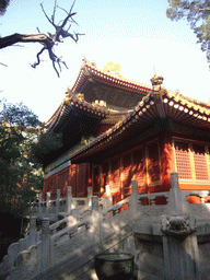 Front right of the Palace of Imperial Peace at the Imperial Garden of the Forbidden City, with explanation