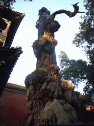 Tree at the Imperial Garden of the Forbidden City
