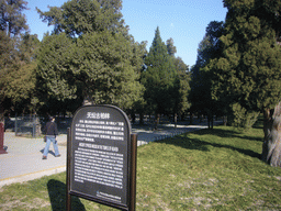 Ancient cypress woods at the Temple of Heaven, with explanation