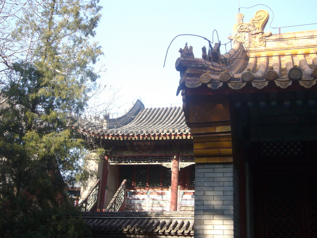 The Dragon King`s Temple at the South Lake Island at the Summer Palace